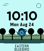 Bird Watch
